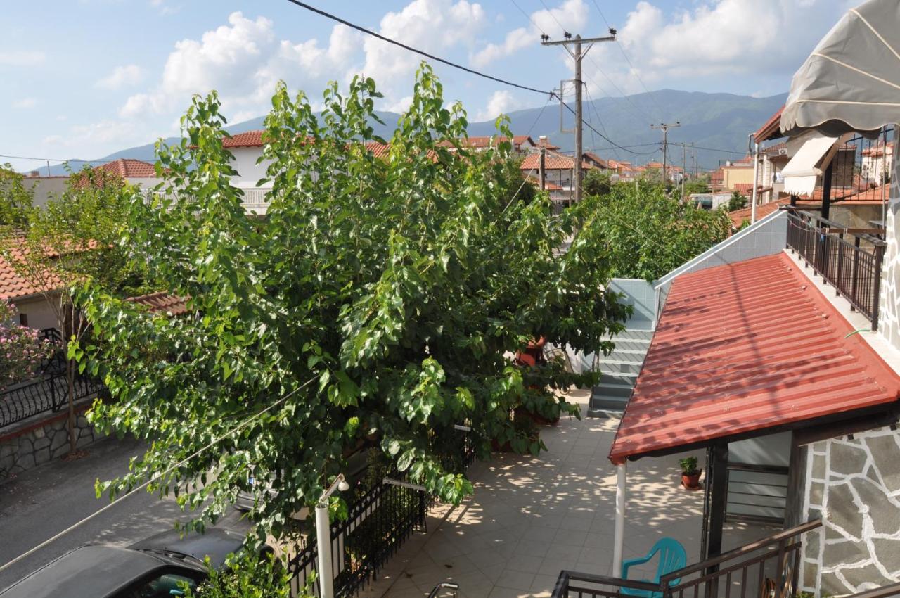 Villa Sofia Vrasná Esterno foto